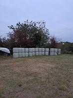 Midibalen voordroog/hooi, Dieren en Toebehoren, Ophalen, Vee