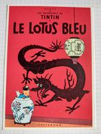Lucky Luke - Tintin, Livres, Enlèvement, Neuf