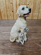 Beeld Labrador Retriever teef met pups, Ophalen