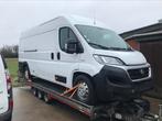 Fiat Ducato Maxi Cng/Essence 2018 L4 H2, Autos, Camionnettes & Utilitaires, Euro 6, Particulier, Fiat, Achat