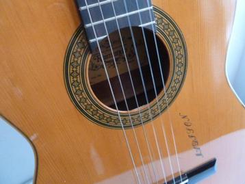Raimundo Spaanse klassieke akoestische gitaar, model: 106., Muziek en Instrumenten, Instrumenten | Toebehoren, Ophalen of Verzenden