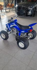 yamaha Raptor 250cc, Motoren, 250 cc