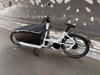 Unieke Urban Arrow bakfiets, Ophalen, Zo goed als nieuw, Huif