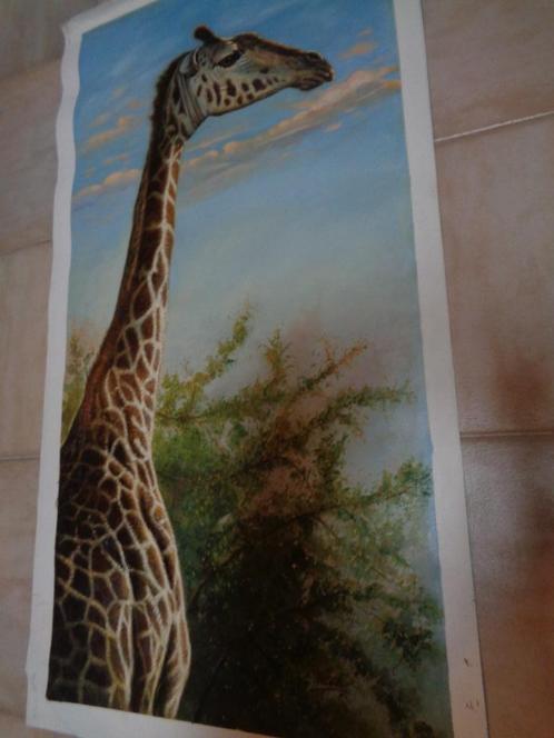 *Zéér grote prachtige gesigneerde schilderij "Giraf"., Antiek en Kunst, Kunst | Schilderijen | Klassiek, Ophalen of Verzenden