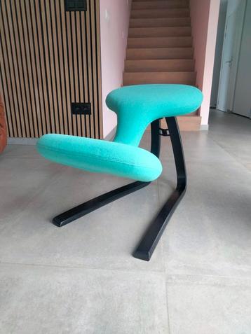 Design ergonomische stoel Denmark Rybo Balans vivid  beschikbaar voor biedingen