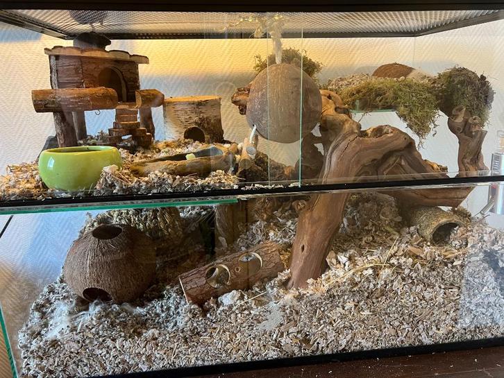 Muizen terrarium 100x40x50 met schuifruiten zonder plateaus, Dieren en Toebehoren, Knaagdieren en Konijnen | Hokken en Kooien