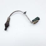 LAMBDASONDE Nissan Almera (N16) (01-2000/11-2006) (0ZA554NY), Gebruikt, Nissan