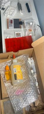 Divers mierenkoninginnen en accessoires te koop !, Fourmis