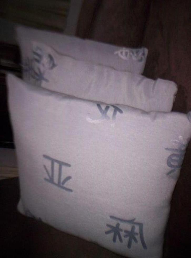 3 decoratieve kussens , zonder / of mét vulling , 40/40cm, Caravans en Kamperen, Mobilhome-accessoires, Zo goed als nieuw, Ophalen of Verzenden