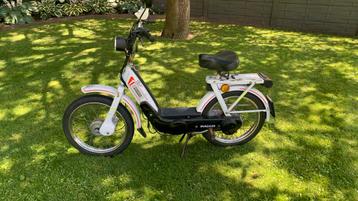 Vespa ciao met  papieren is een A beschikbaar voor biedingen