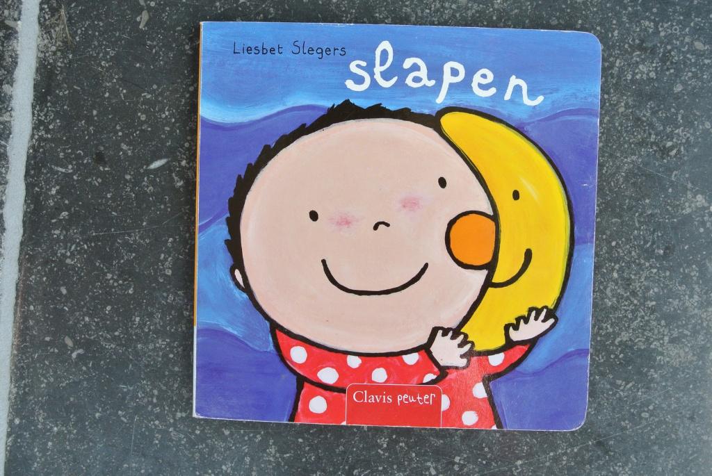 slapen (Liesbet Slegers), Boeken, Kinderboeken | Kleuters, Ophalen of Verzenden