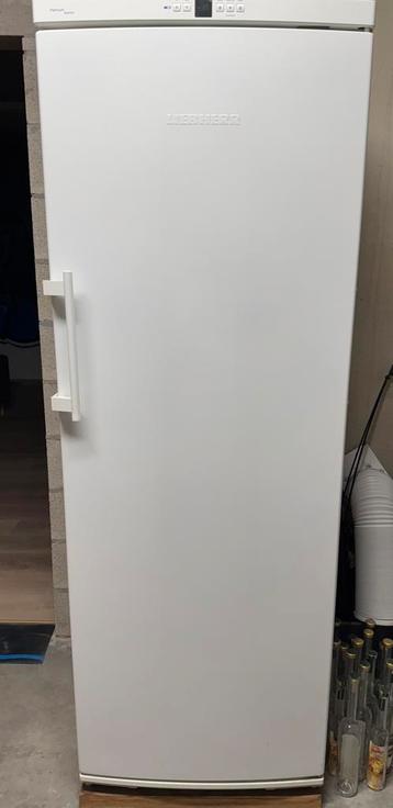 Diepvrieskast LIEBHERR GNP3376, Elektronische apparatuur, Ophalen