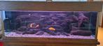Aquarium met biofilter en massief eikenhouten kast., Ophalen, Gebruikt, Gevuld zoetwateraquarium