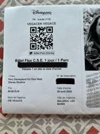 Billets Disneyland, Tickets en Kaartjes, Recreatie | Pretparken en Attractieparken, Twee personen, Ticket of Toegangskaart