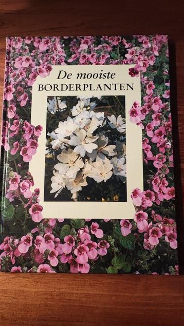 De mooiste borderplanten beschikbaar voor biedingen