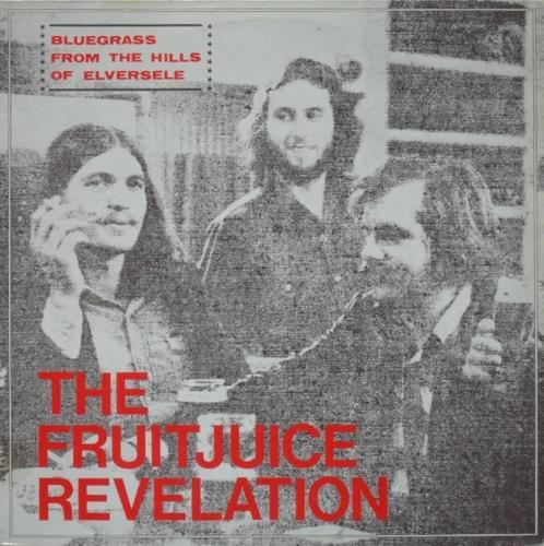 The Fruitjuice Revelation – From The Hills Of Elversele, CD & DVD, Vinyles | Jazz & Blues, Utilisé, Blues, 1960 à 1980, 12 pouces