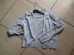 golf Terre Bleue 152 in nieuwstaat, Kinderen en Baby's, Trui of Vest, Ophalen of Verzenden, Zo goed als nieuw, Jongen