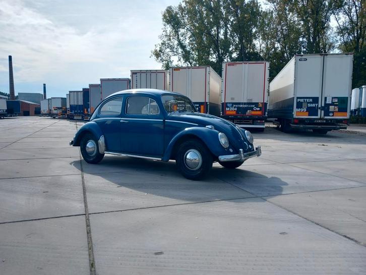 Coccinelle Volkswagen, Autos, Oldtimers & Ancêtres, Particulier, Volkswagen, Bleu, Bleu, Enlèvement