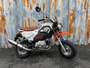 OP = OP 1550€ en liquidation de stock, Neuf, Autres modèles, Enlèvement ou Envoi, Classe B (45 km/h)