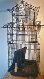 Groote vogel kooi te koop.