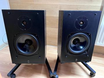 LINN INDEX 50W (PAAR)