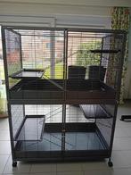 Knaagdieren kooi, Animaux & Accessoires, Rongeurs & Lapins | Cages & Clapiers, Enlèvement, Cage