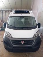 Camion réfrigéré FIAT DUCATO, Autos, Camionnettes & Utilitaires, Achat, Euro 6, Particulier, Fiat