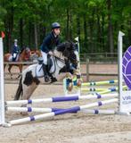 Superbrave kinderpony, Dieren en Toebehoren, Merrie, B, B pony (1.17m tot 1.27m), Recreatiepony