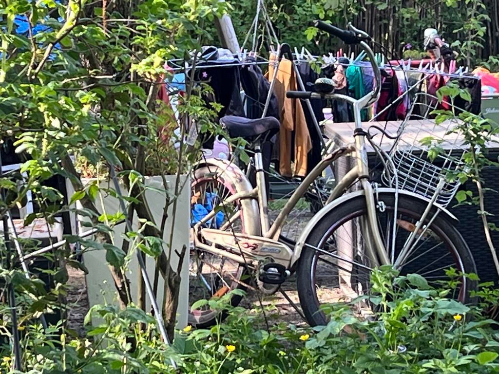 Electra cruiser gouden uitvoering zeldzaam model, Fietsen en Brommers, Fietsen | Cruisers en Lowriders, Ophalen, Terugtraprem