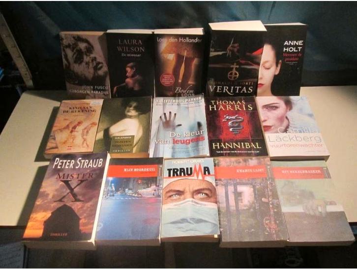 15 thrillers néerlandophones, Livres, Thrillers, Comme neuf, Enlèvement ou Envoi