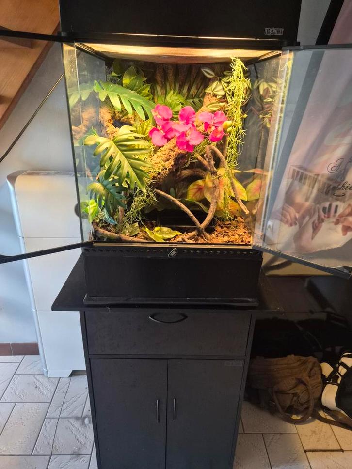 Complete exo terra set 45x45x60, Animaux & Accessoires, Poissons | Aquariums & Accessoires, Enlèvement