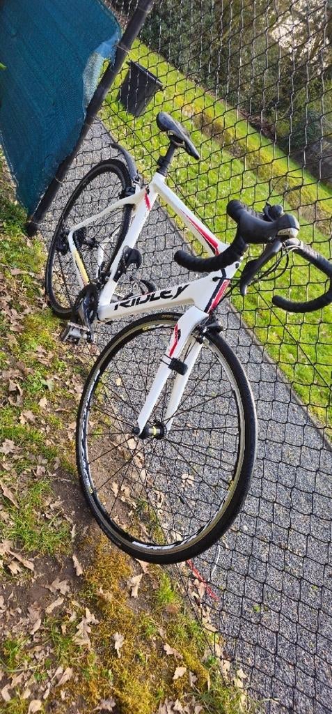 Ridley Fenix Koersfiets Carbon Frame, Enlèvement, Carbone, 28 pouces