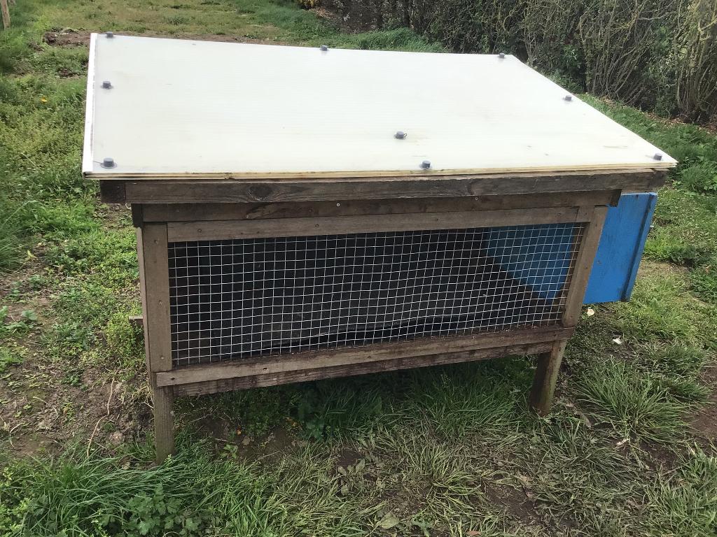 Konijnenhok, Ophalen, Gebruikt, Konijn