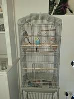 vogelkooi, Ophalen, Zo goed als nieuw, Metaal, Vogelkooi