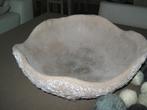 mooie schaal, Ophalen, Schaal