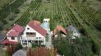 Haus mit Nebenhäusern und Weinberg à Vinica/Slovaquie, Village, 6 pièces, Maison d'habitation, 190 m²
