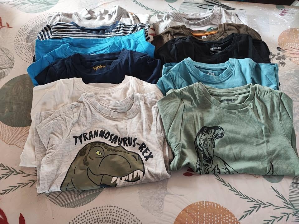 Lot de vêtements garçon 5 ans, Ophalen, Gebruikt, Jongen