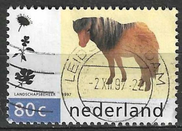 Nederland 1997 - Yvert 1581 - De Shetlandpony (ST), Postzegels en Munten, Postzegels | Nederland, Gestempeld, Verzenden