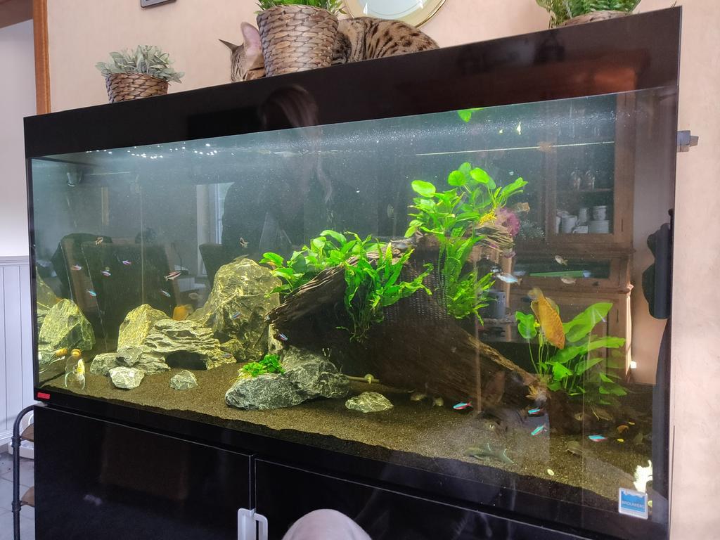 Eheim aquarium 450 liter + toebehoren ( leeg ), Comme neuf, Enlèvement, Chauffage, Eheim