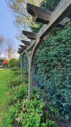 Gratis, Tuin en Terras, Planten | Bomen, Ophalen