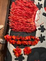 Carnaval accessoires, Ophalen of Verzenden, Zo goed als nieuw, Accessoires