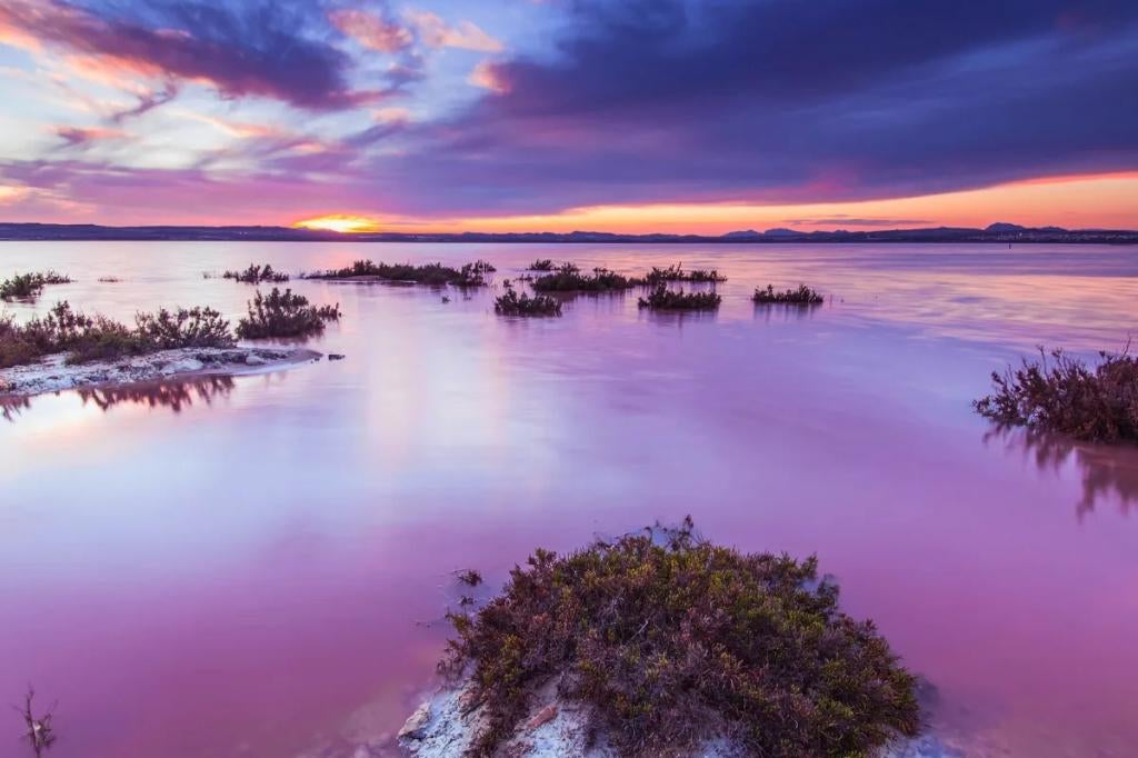 Huur Spanje: Vakantiehuis in Vistabella Golf, Vakantie, Wasmachine, Dorp, 2 slaapkamers, Aan zee