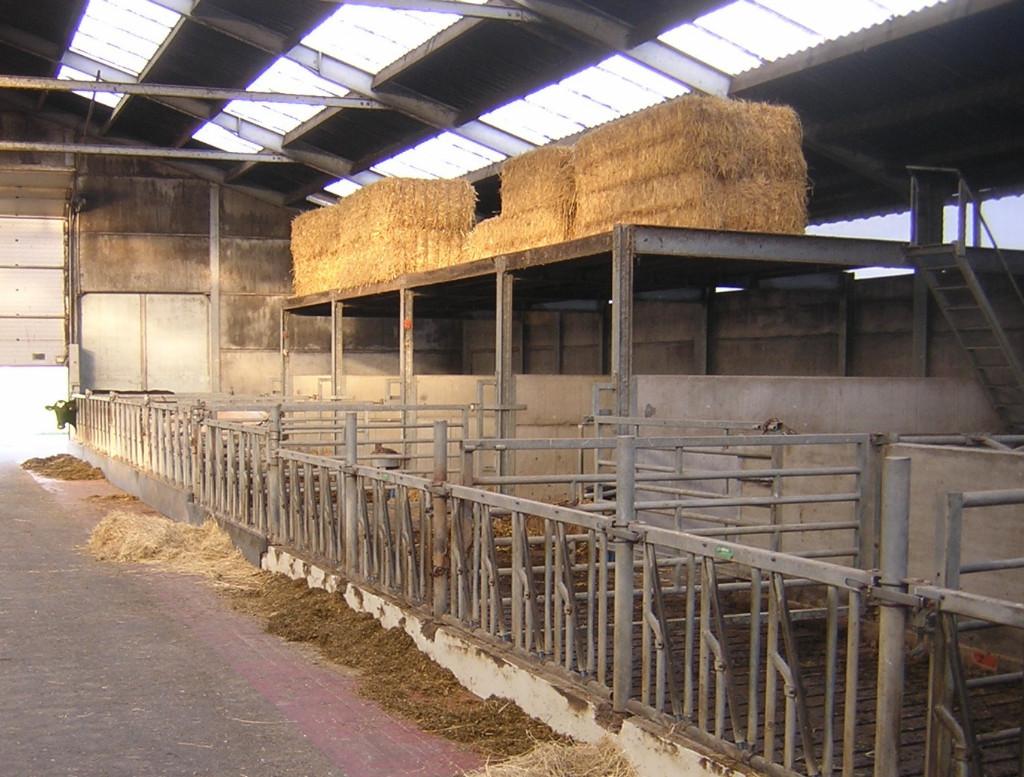Aménagement complet étable laitière et jeunes bovins, Enlèvement ou Envoi, Élevage, Équipement de grange