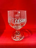 verre à bière Cesar 33cl Van Steenberge, Collections, Enlèvement ou Envoi, Utilisé, Verre à bière