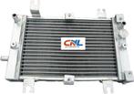 Radiateur Bombardier Can-Am CAN AM DS250 DS 250 2006-2012 07, Motoren, Nieuw, Ophalen of Verzenden