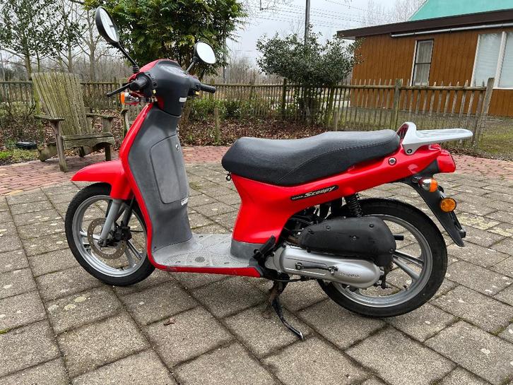 Honda scoopy 50, Vélos & Vélomoteurs, Cyclomoteurs | Honda, Utilisé, Autres modèles, Classe B (45 km/h), Enlèvement