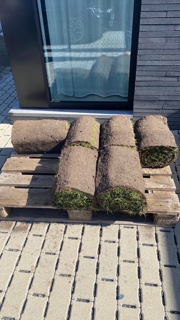 Graszoden gratis, Tuin en Terras, Gras en Kunstgras, Zo goed als nieuw, Ophalen