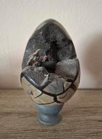 Drakenei Septaria 34cm diameter, Ophalen of Verzenden, Mineraal