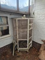 Vogel kot, Dieren en Toebehoren, Ophalen