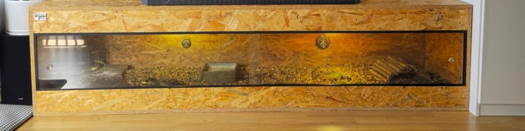 TERRARIUM MET LANDSCHILDPAD + ALLE BENODIGHEDEN